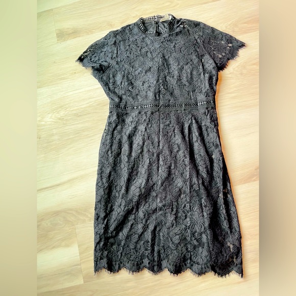 Lace Dress - Picture 3 of 3